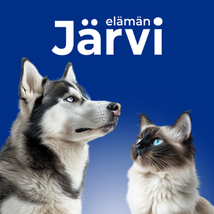 Обзоры продукции Järvi