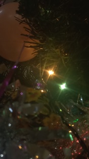 ёлочка♡♡♡