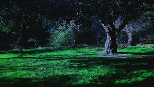 Планета Грёз