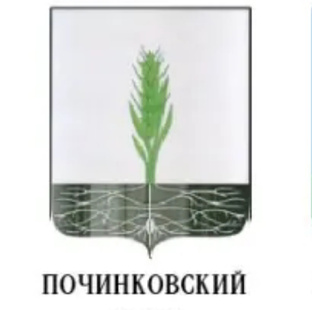 Починковский район