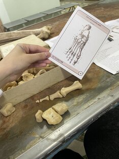 будущему студенту медицинского 🤍