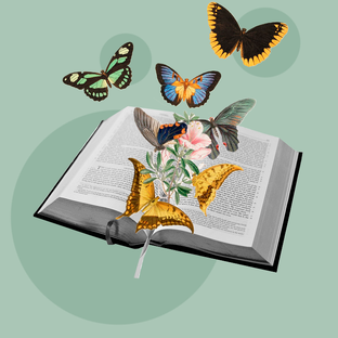 Обзоры книг