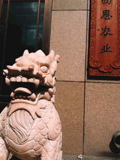  「 ✦ Китай, Харбин ✦ 」