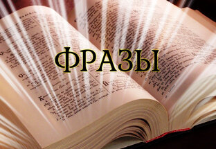 Фразы