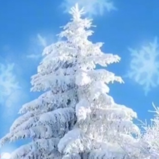 Влоги.Декабрь 2024 год.