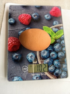 Птичий двор