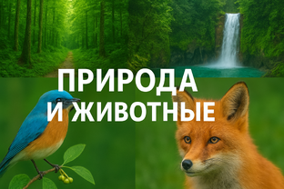 Природа и Животные