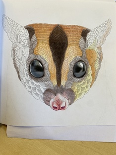 Полезности для раскрашивания