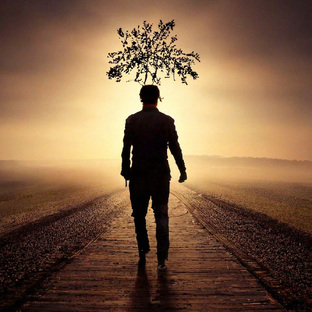 ВСЕ ПРО ЖИЗНЬ И ЕЕ РАЗВИТИЕ