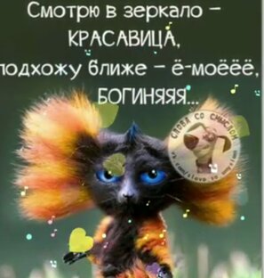 Оригинальные статьи и рассказы за почти пять лет в Дзене
