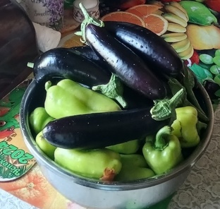 Овощные посиделки 🍆🫜🫛🥬🥕🫑🧅🧄🌿