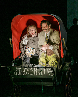 Мадам Бовари