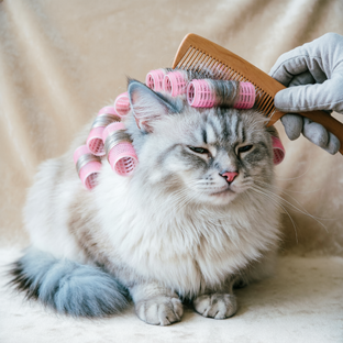 Уход