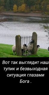 Жизнь как жизнь. 