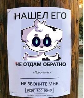 все видео статьи и т.д.