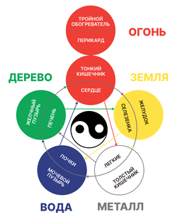 У-СИН
