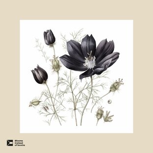 Ингредиенты 