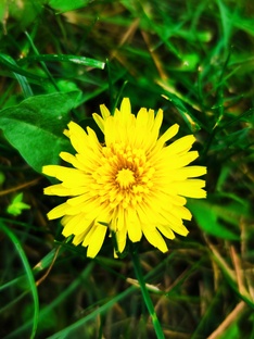 Изменили жизни. Помощь людям 