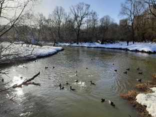 14 марта иуду в Путилково