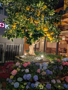 Тэт. Новый год по восточному календарю