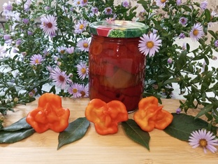 Заготовки на зиму 