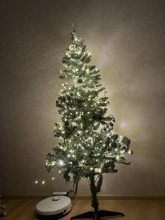 Тай, Паттайя 2025-2026