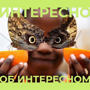 Интересно об интересном
