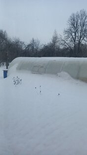 Строим теплицу заново, 2024 г.