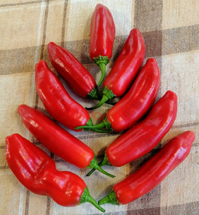 Про семена. 