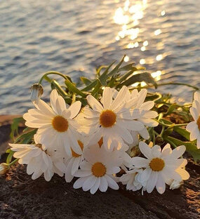 Из России с любовью...