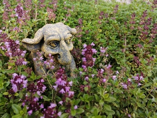 Фото постановочные