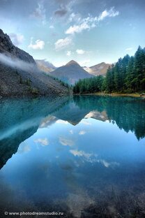 Фото - Жизнь