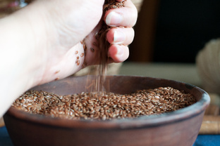 Выращиваю лен