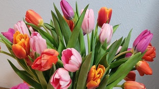 Отмечаем 8 марта! 