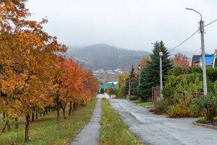 Самарская область