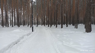 Тавда мой город прошлое и настоящее 