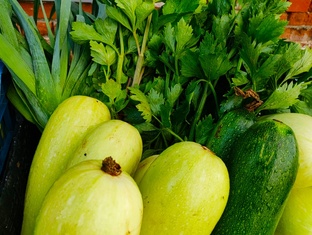 Тыква, кабачки