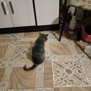 Про грустное