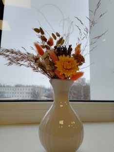 Житейские истории