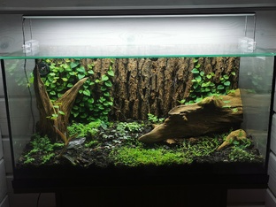 Мир за стеклом