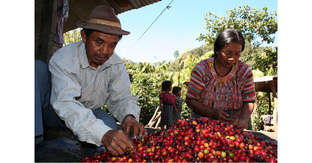 Арабика бывает такая разная!