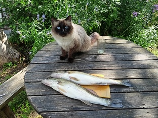 Рыбалка