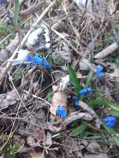 Полезный пост 