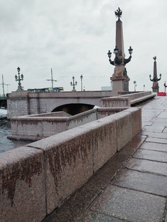 Дневник петербуржца