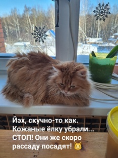 Посадочные планы на 2024