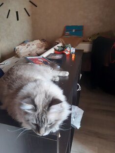 Мой двор