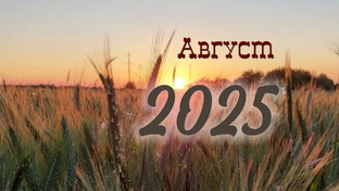 Таро. Август 2025. Все знаки зодиака 