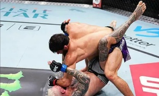 новости спорта