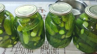 КОНСЕРВАЦИЯ