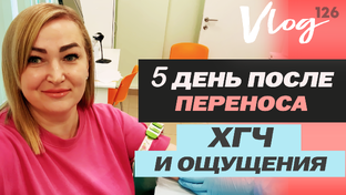 Счастливая беременность после 5-ого переноса в ЭКО